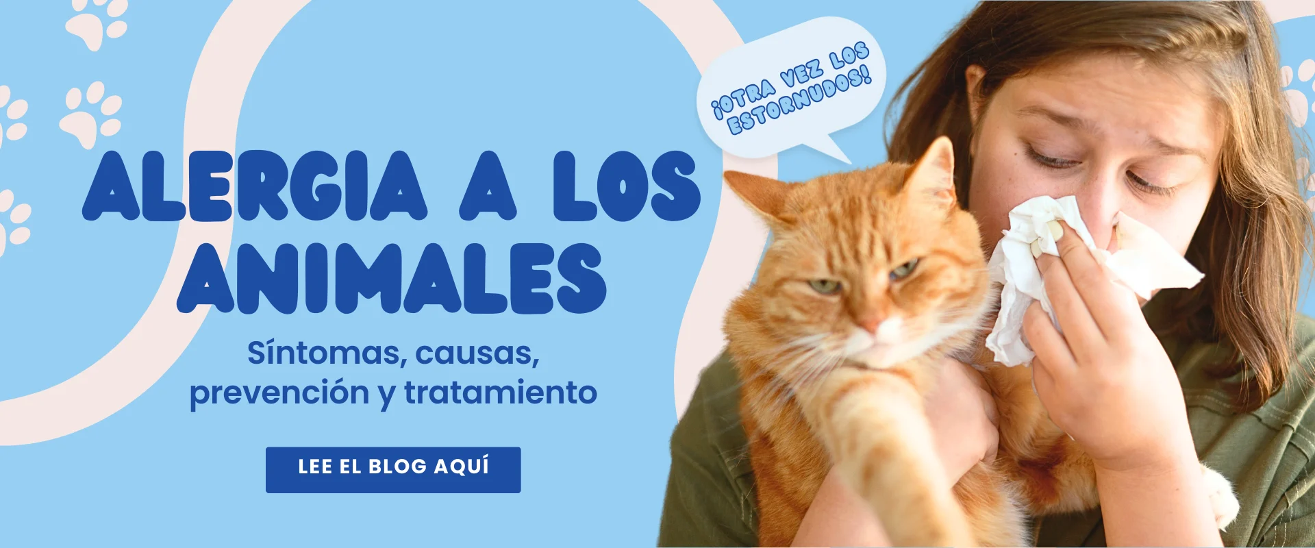 Alergia a los animales: síntomas, causas, prevención y tratamiento